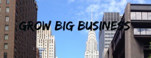 grow big business