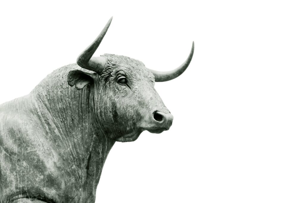 VOR Stock Opportunities